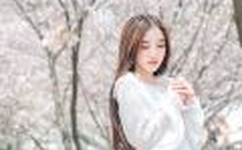 一层一层剥掉女孩子的衣服的游戏